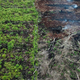 A protected area in South Aceh, which is being burnt in preparation for the opening of a new palm oil plantation